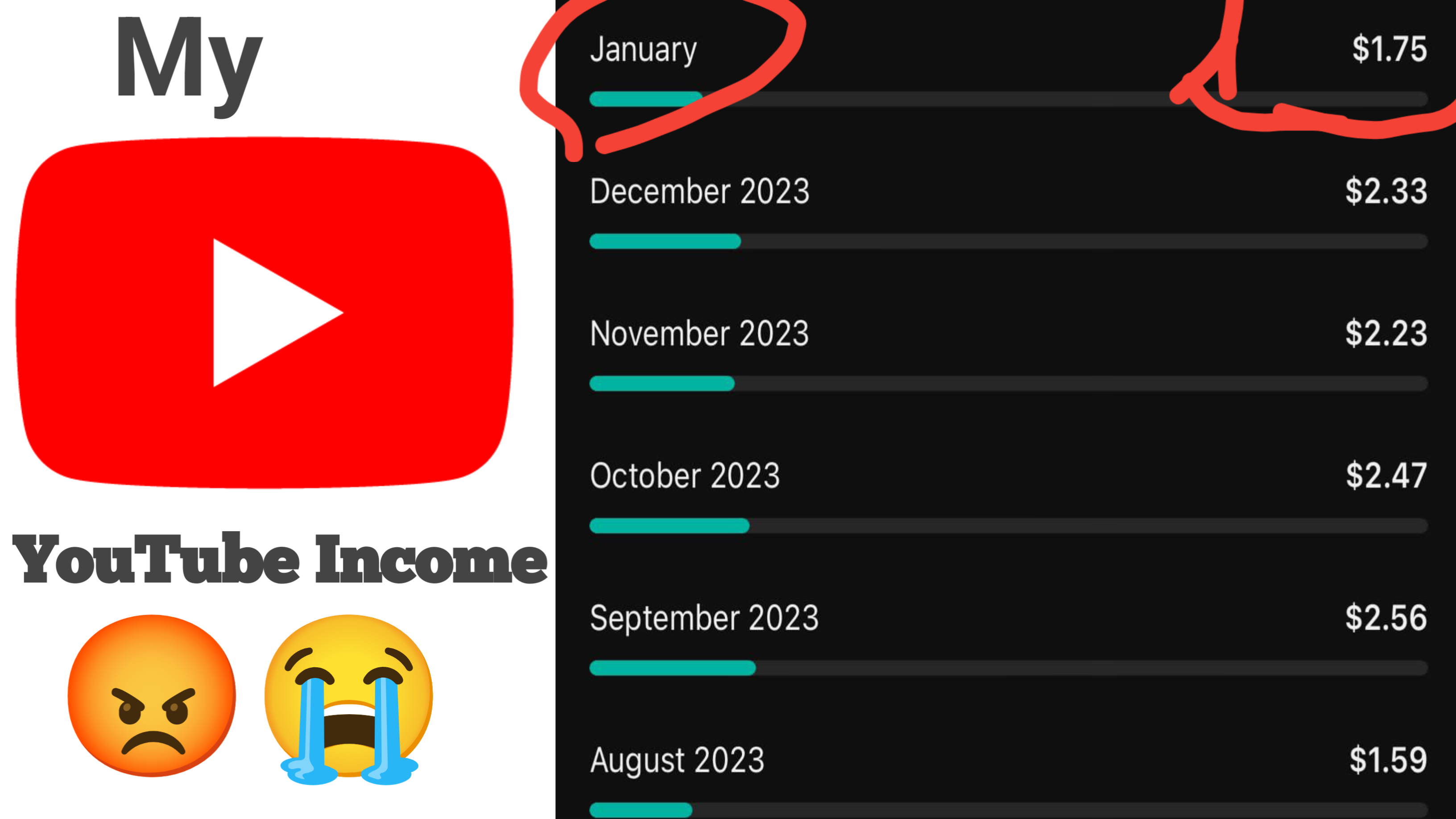 Here is My YouTube Income
