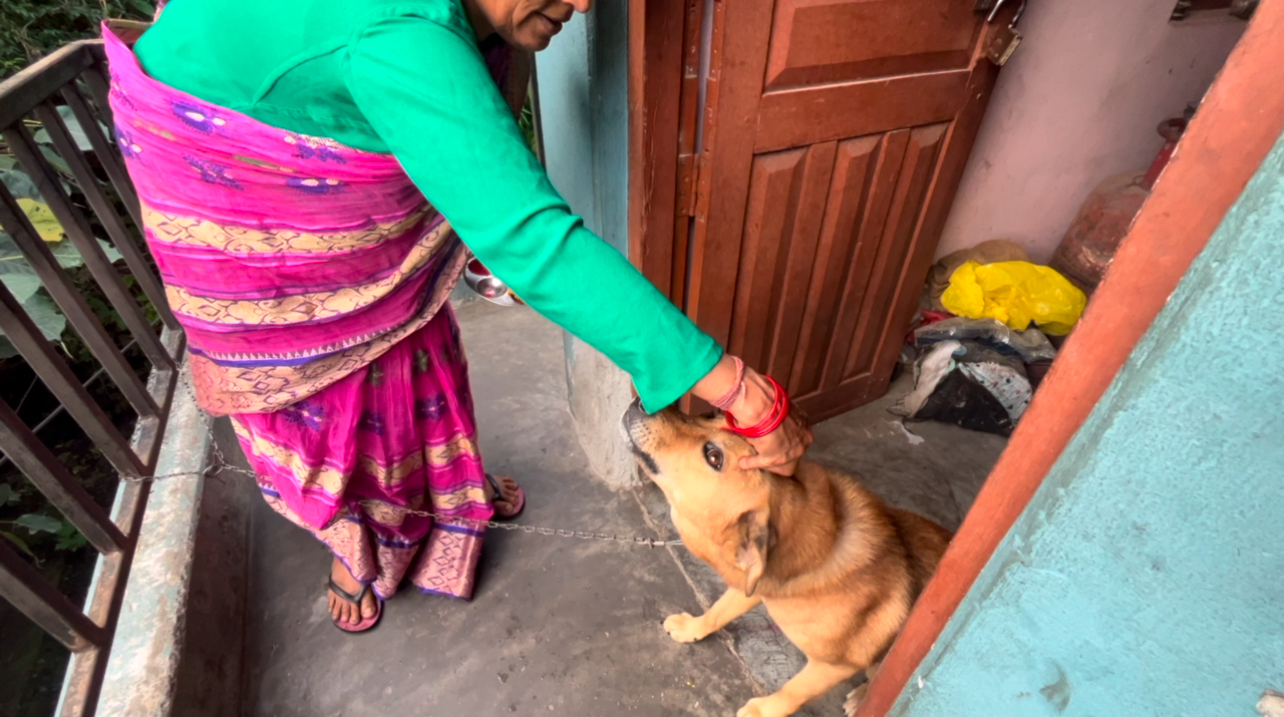 Mother Take KuKur Puja In Home In Nepal 2081