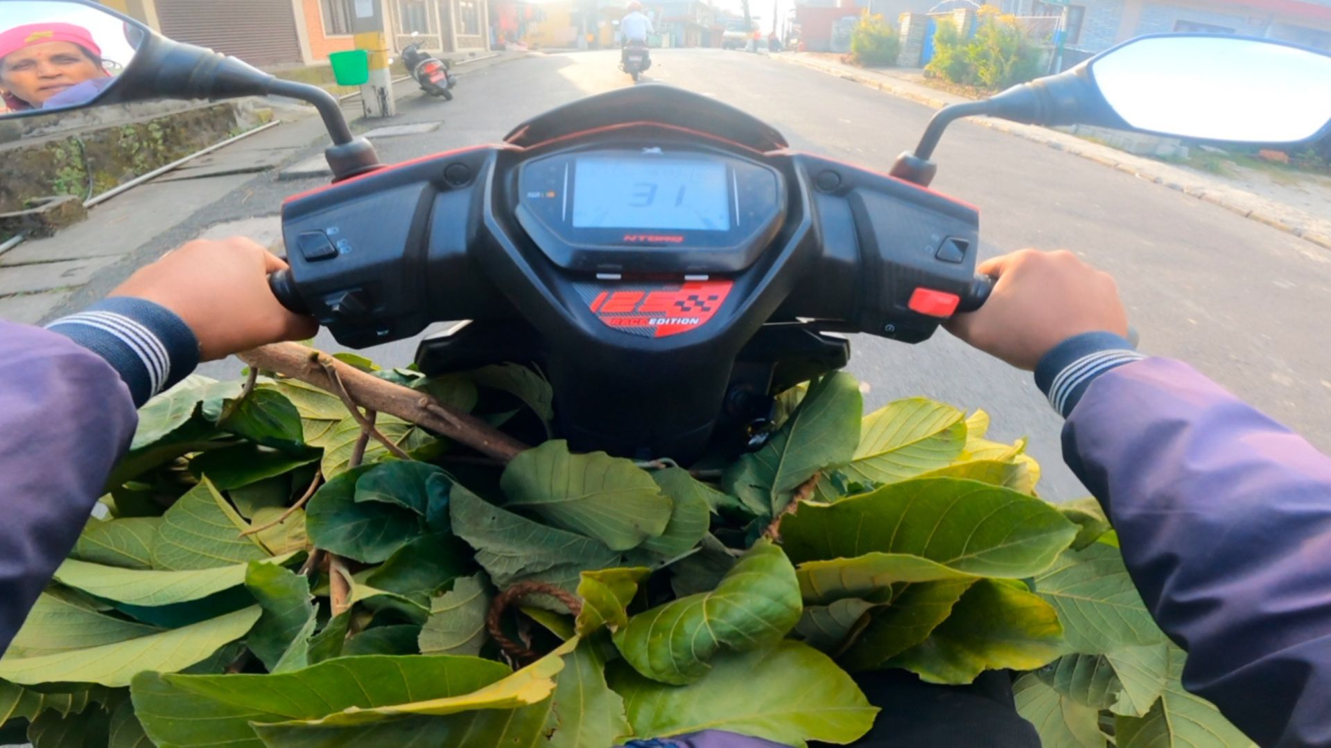 Went Upstairs To Get Grass On A Scooter