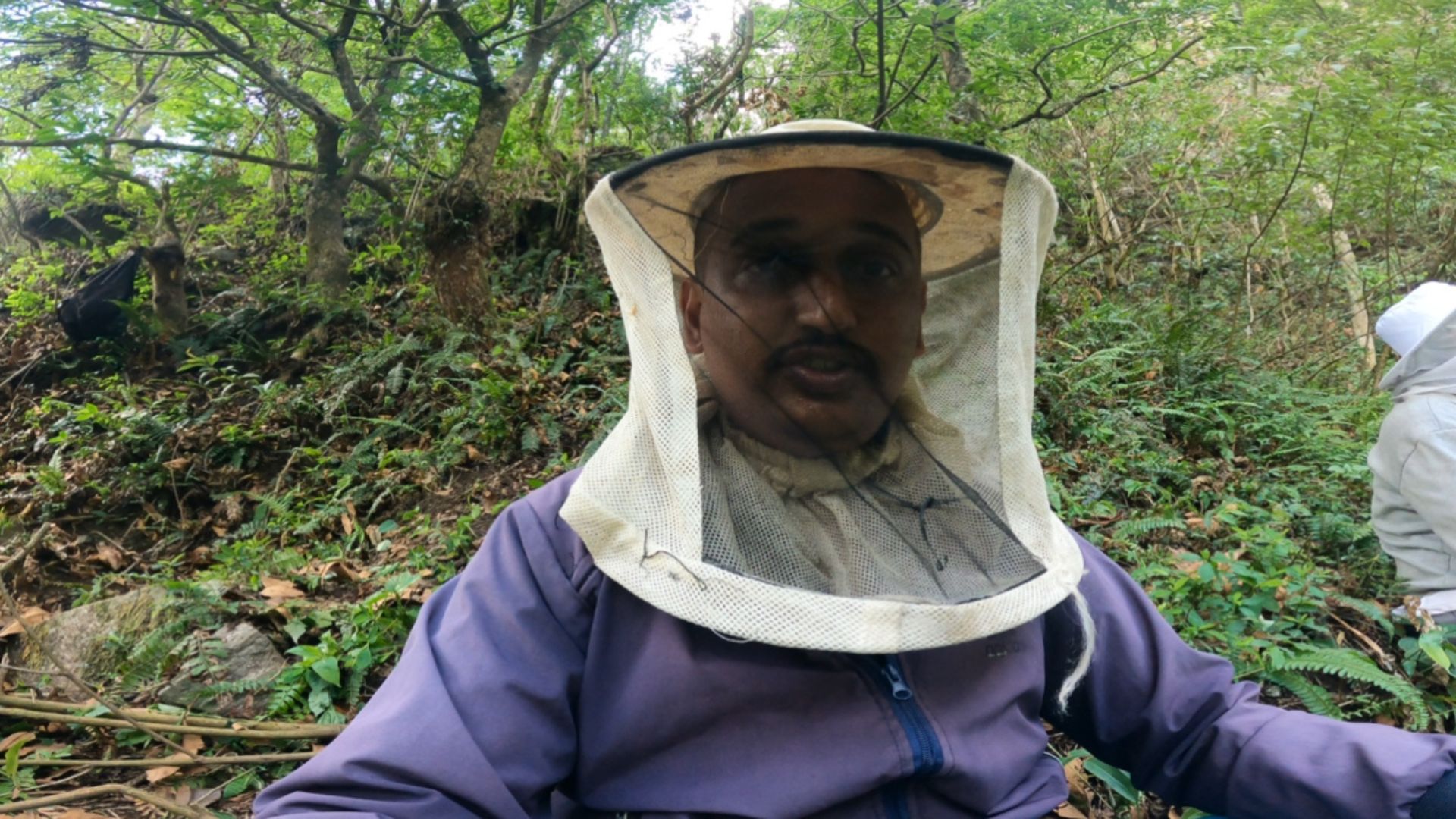 Making Honey Hunting In Syange In Manang