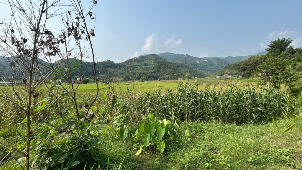 In The Morning We Went To A Place In Syange In Tanahun