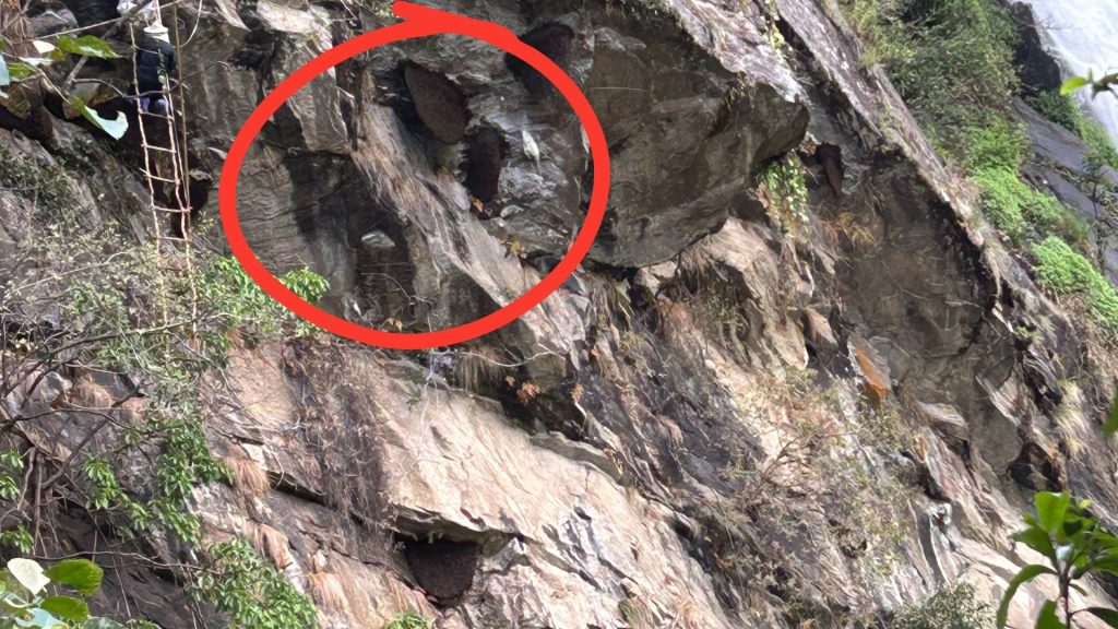 Honey Hunting Area Reach On Syange Waterfall In Lamjung