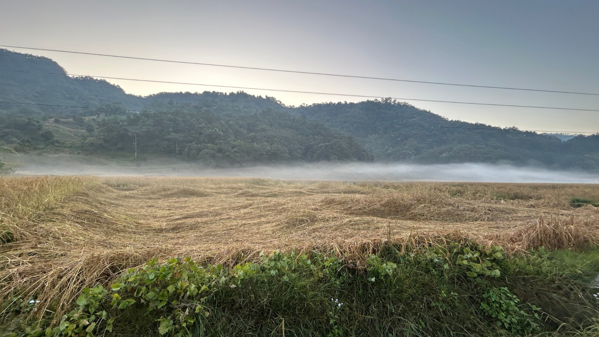 Morning Foggy Weather In Tadvesi